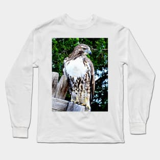 Red Tailed Hawk Long Sleeve T-Shirt